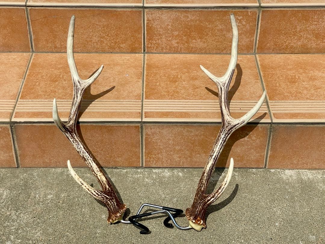Deer Antler Lantern Hanger, Set of 2, Camping, Interior, Natural Deer Antler