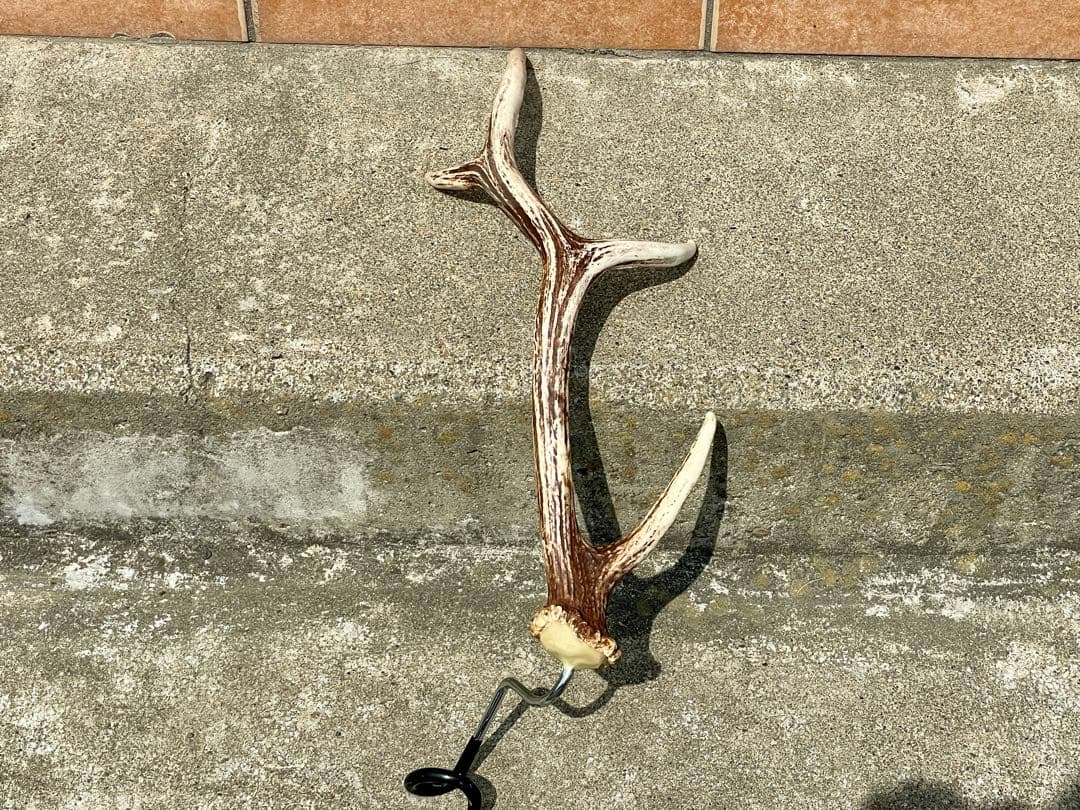 Deer Antler Lantern Hanger, Set of 2, Camping, Interior, Natural Deer Antler
