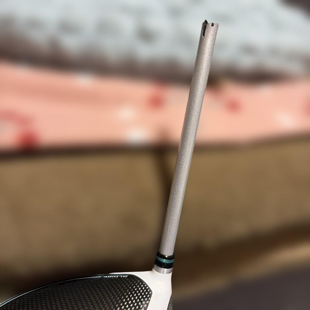 Taylor Made STEALTH GLOIRE Junk - Includes Headcover